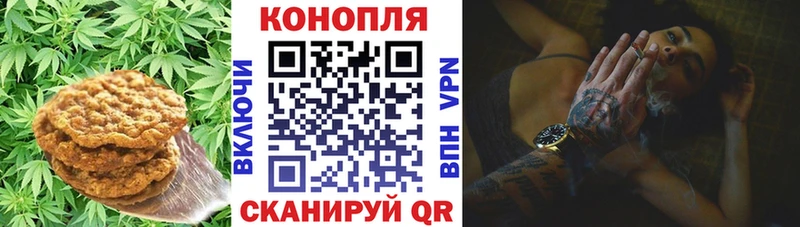 Купить где  Нижняя Тура  Cannafood конопля 