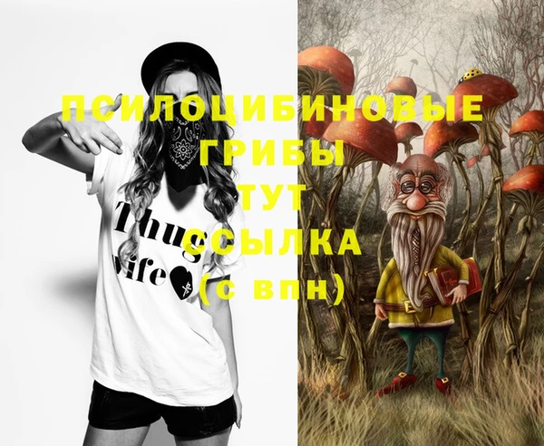 МДПВ Надым